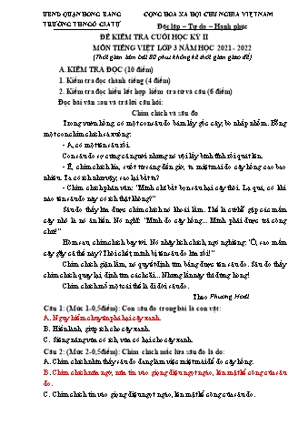 Đề kiểm tra cuối học kì II Tiếng Việt 3 - Đề 3 - Năm học 2021-2022 - Trường Tiểu học Ngô Gia Tự (Có đáp án)
